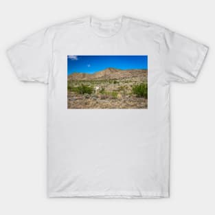 Criollo Cattle on the Open Range T-Shirt